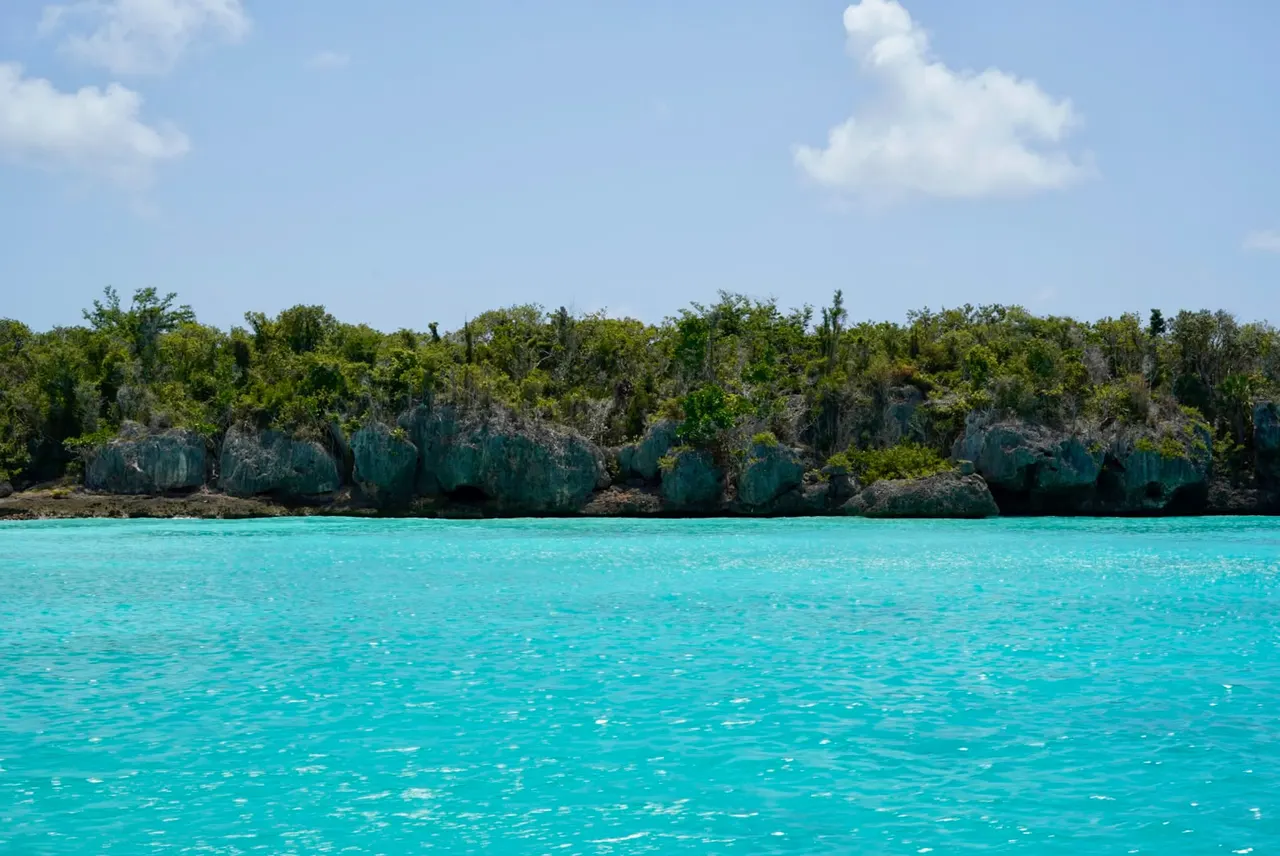 Rocky shoreline with turquoise water on the La Romana coast