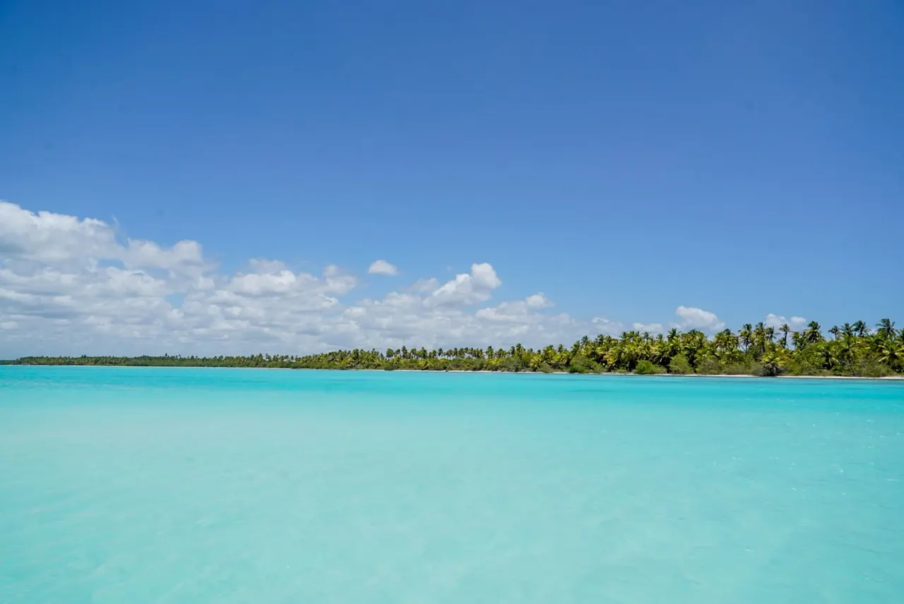 Turquoise water and palm-lined shore at Palmilla